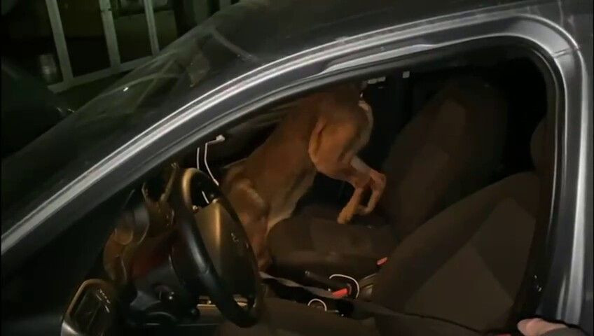 Sakarya’da Uyuşturucu Operasyonu: 2 İlçede 7 Şüpheli Gözaltına Alındı - Sayfa 2