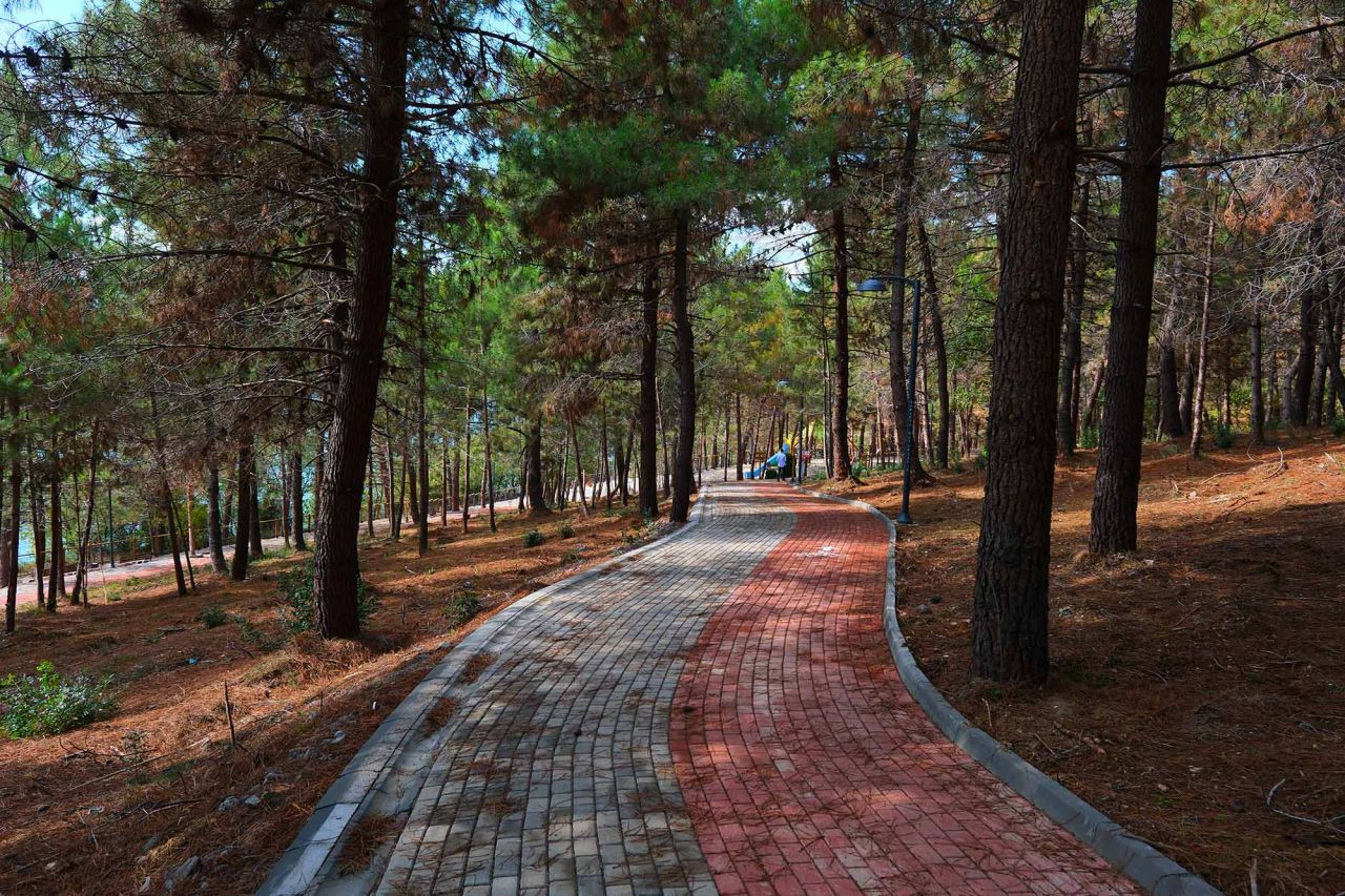 Sapanca Gölü Kıyısında ‘Huzur Veren’ Doğa Projesi Kapılarını Açtı - Sayfa 3