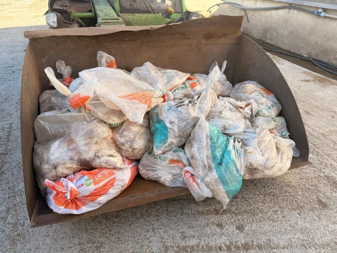 Sakarya’da Mevzuata Aykırı Tavuk Çiftliğine Biyogüvenlik Kısıtlaması - Sayfa 2