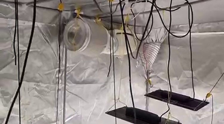 Geyve’de Evin Bir Odasını Uyuşturucu Serasına Çevirmişler - Sayfa 3