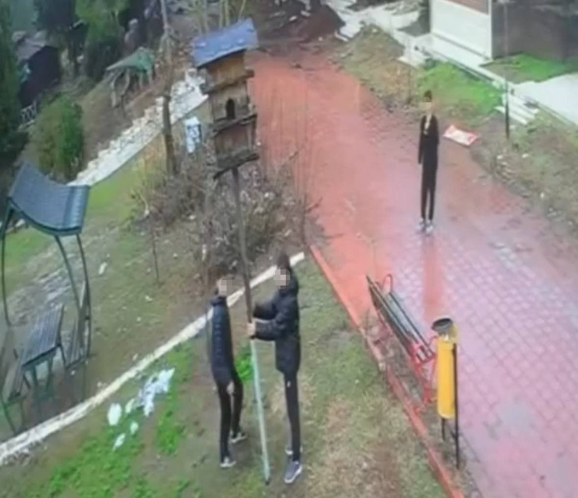 Kuş Yuvasını Parçalayan 4 Çocuğa Ev Hapsi Cezası - Sayfa 2