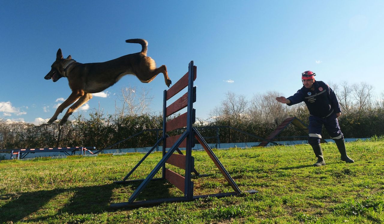 Reina, Ateş, Google Ve Labrador ‘Umut’ Olmak İçin Hep Hazır - Sayfa 3