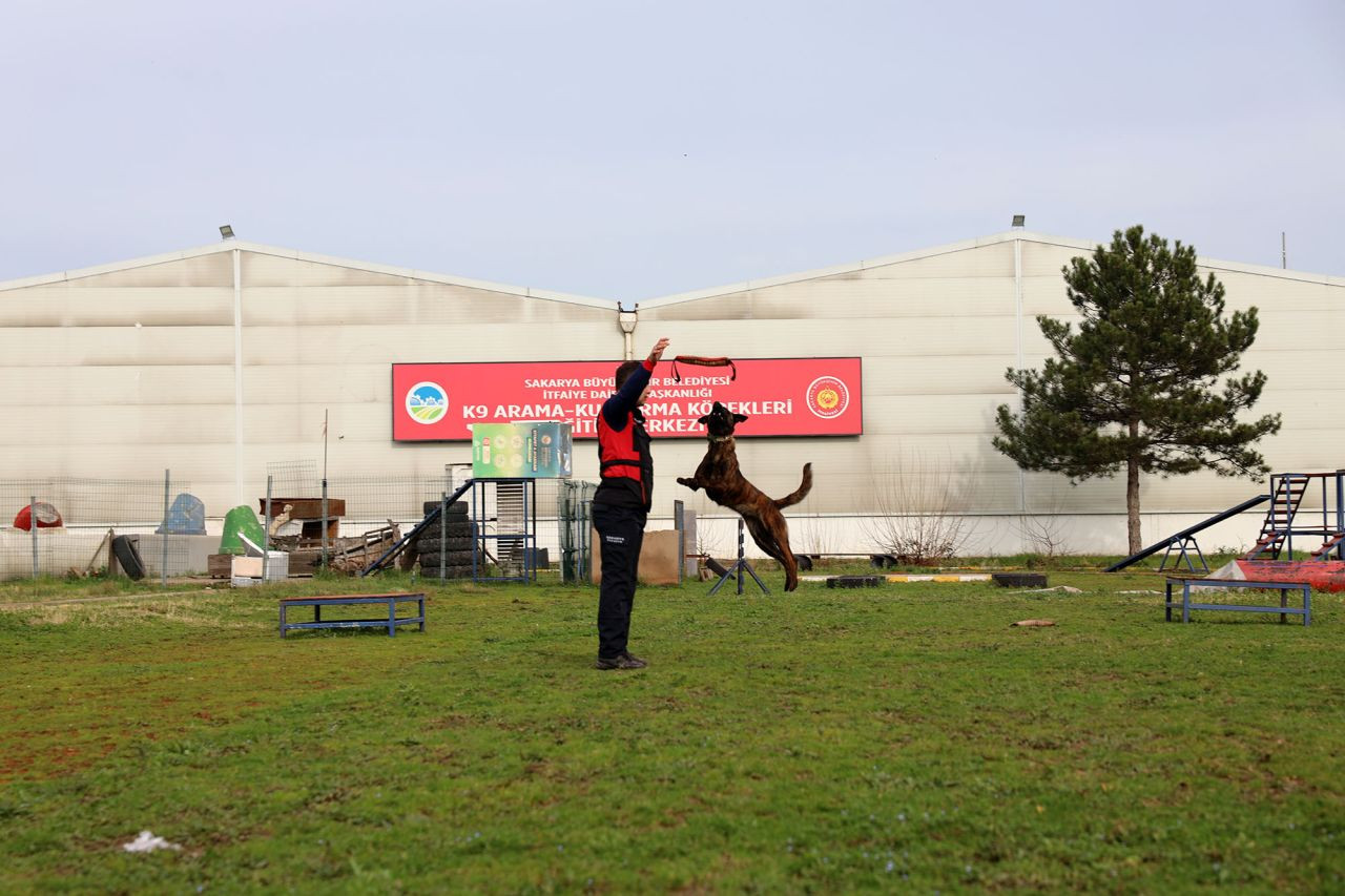 Reina, Ateş, Google Ve Labrador ‘Umut’ Olmak İçin Hep Hazır - Sayfa 1