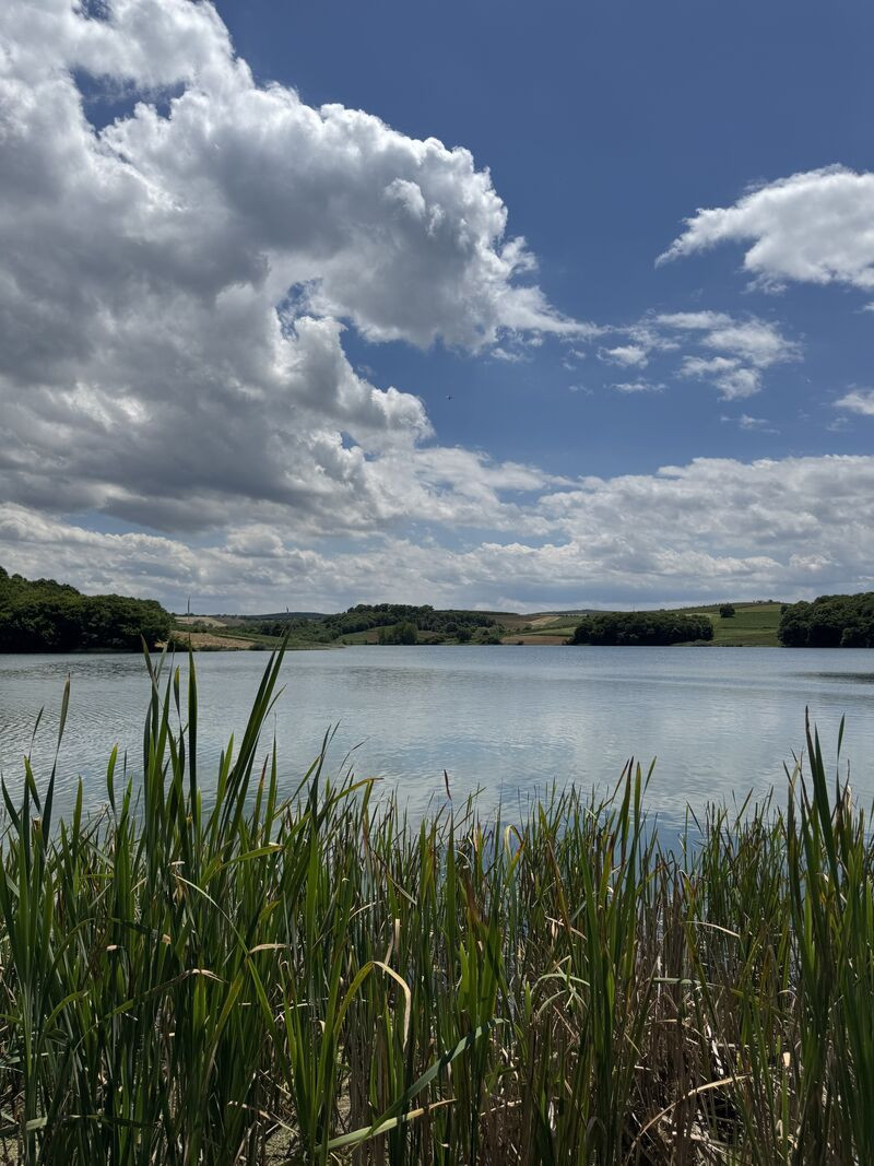 Sakarya’da Su Kaynaklarının Geleceği İçin Önemli Adım - Sayfa 1
