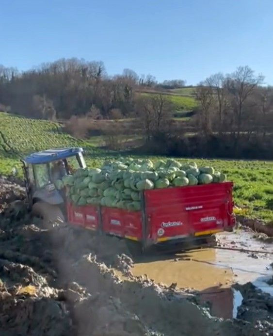 Çamura Saplanan Lahana Yüklü Römork Zor Kurtarıldı - Sayfa 3