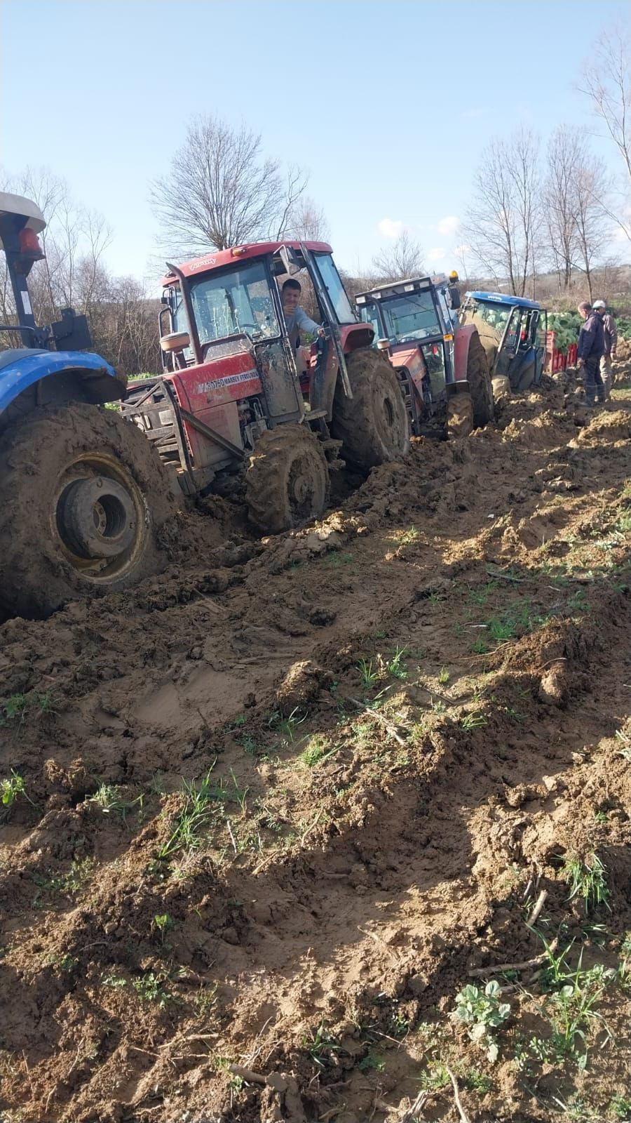 Çamura Saplanan Lahana Yüklü Römork Zor Kurtarıldı - Sayfa 2