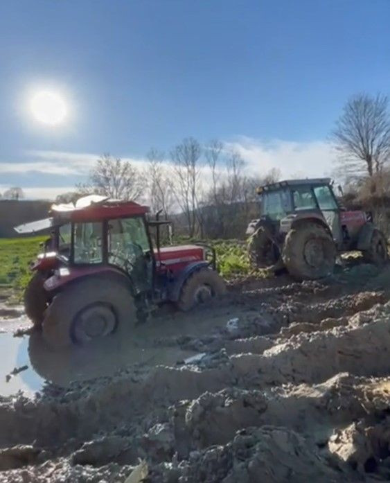 Çamura Saplanan Lahana Yüklü Römork Zor Kurtarıldı - Sayfa 1