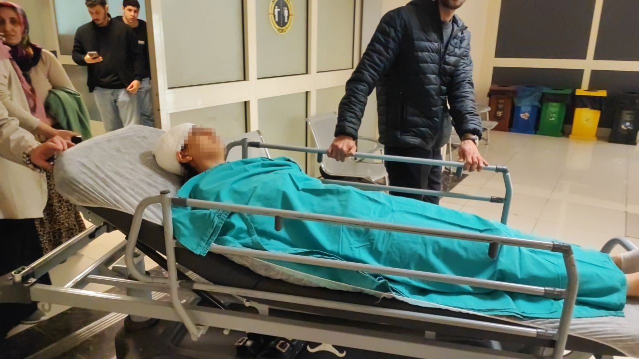 Korku Dolu Anlar: Bakkala Giderken Köpekler Saldırdı - Sayfa 2