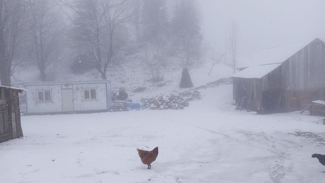 Sakarya’da Merkezde Yağmur, Yükseklerde Kar - Sayfa 1
