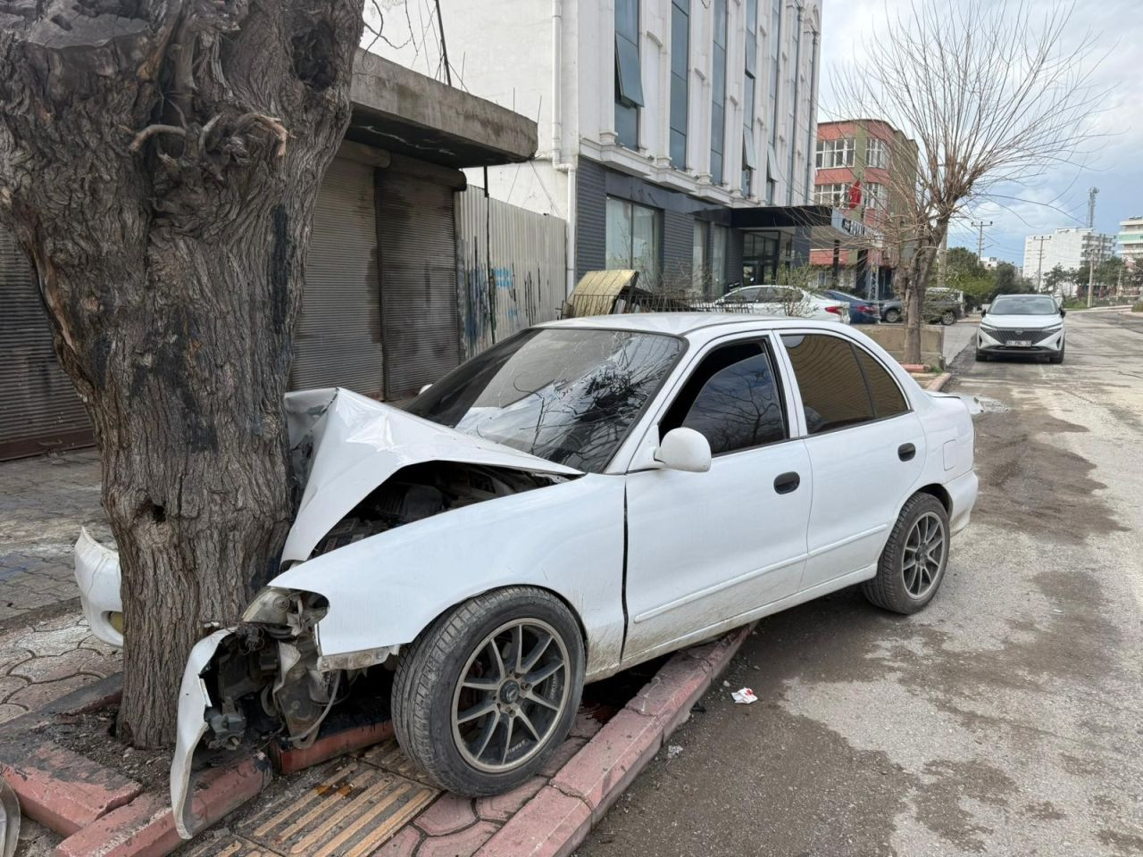 Ehliyetsiz Sürücü Dehşeti: Gencin Kullandığı Otomobil Ağaca Çarptı - Sayfa 2