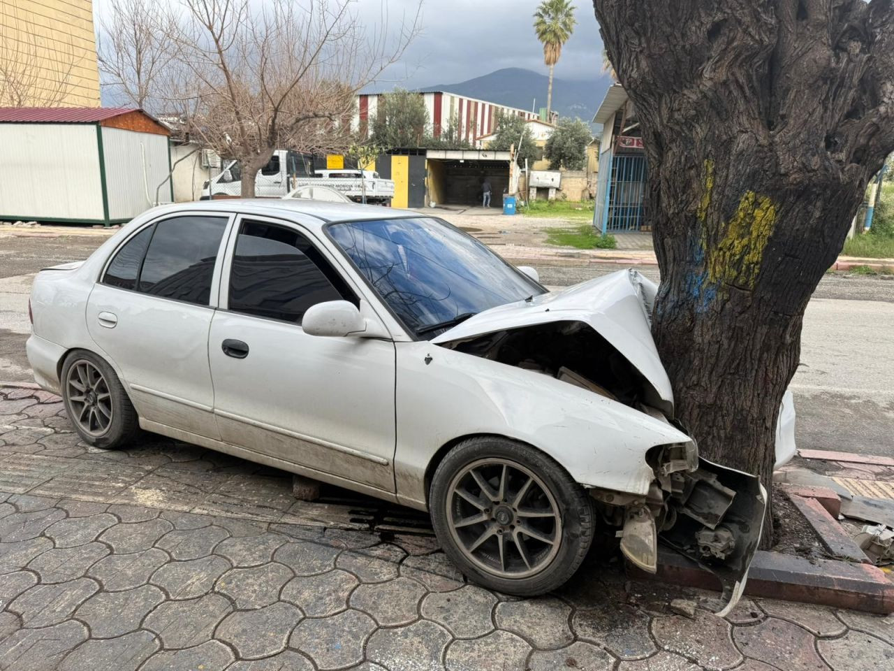 Ehliyetsiz Sürücü Dehşeti: Gencin Kullandığı Otomobil Ağaca Çarptı - Sayfa 4
