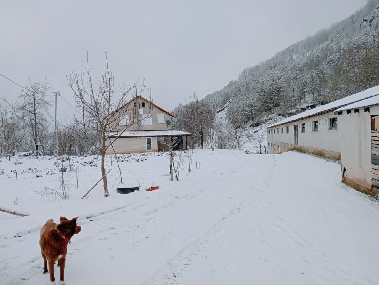 Yağmur ve Kar Bir Arada Derken İkinci Cemre Suya Düştü - Sayfa 1