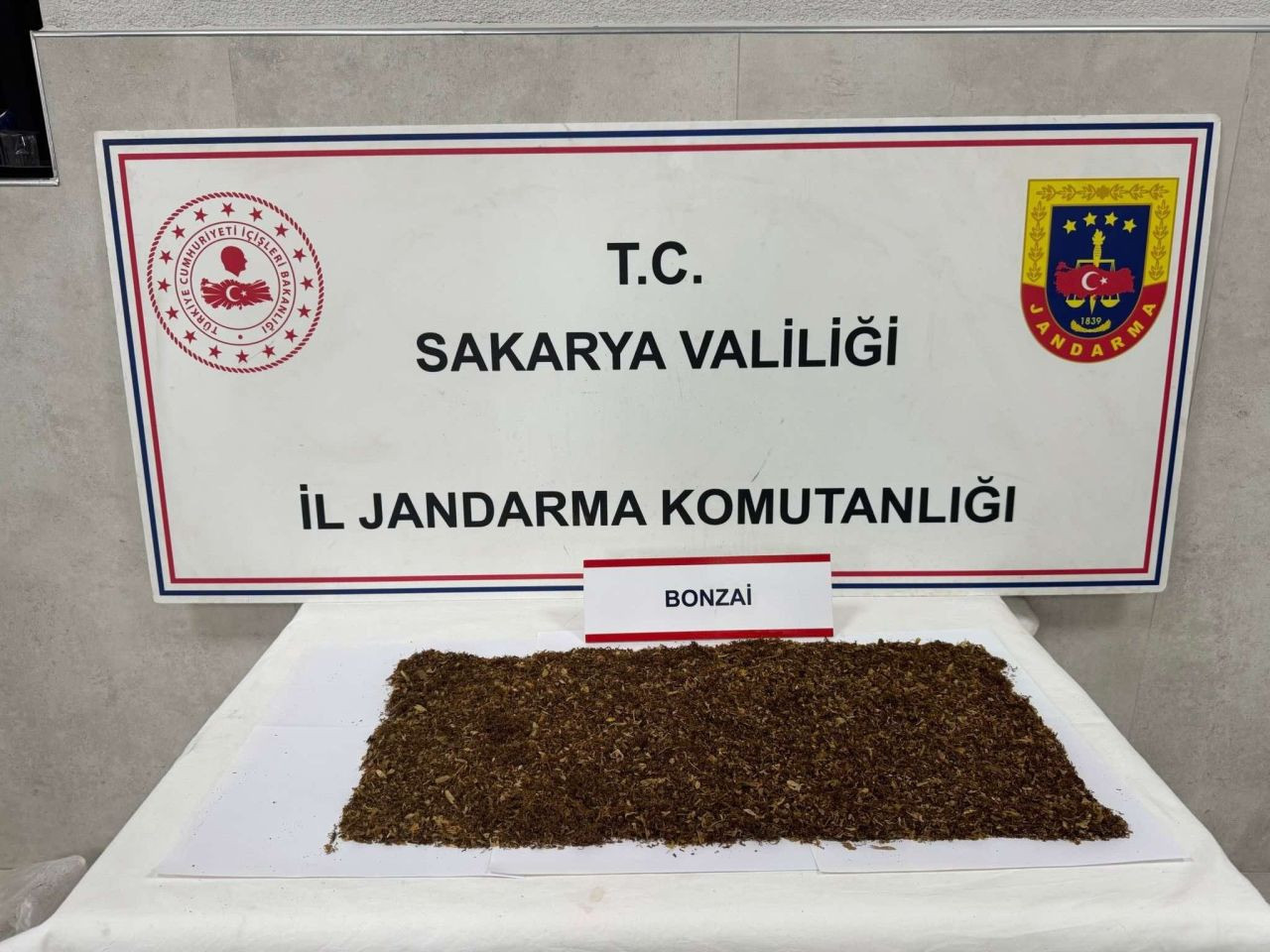 Sapanca'da 'Torbacı' Operasyonu: Zehir Tacirlerine Jandarma Engeli - Sayfa 2
