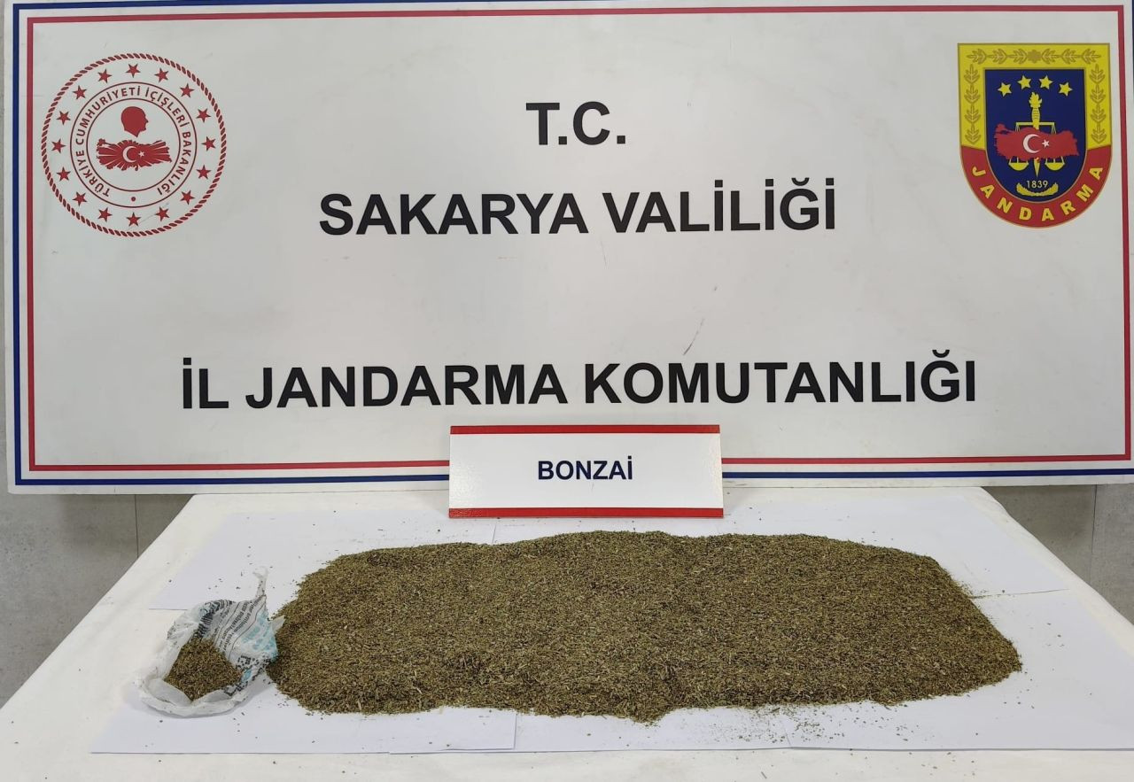 Sapanca'da 'Torbacı' Operasyonu: Zehir Tacirlerine Jandarma Engeli - Sayfa 1