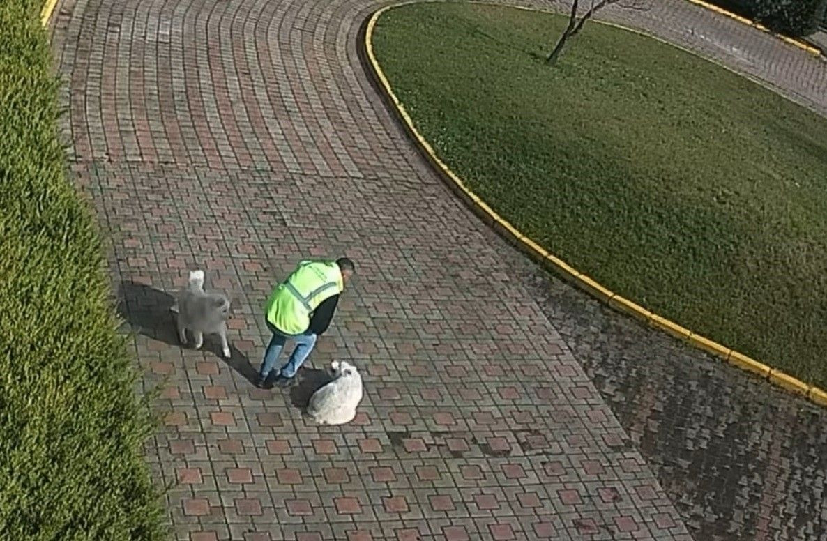 Vali Konağı'ndaki 'Köpek Ölümü' Olayının Görüntüleri Ortaya Çıktı - Sayfa 3