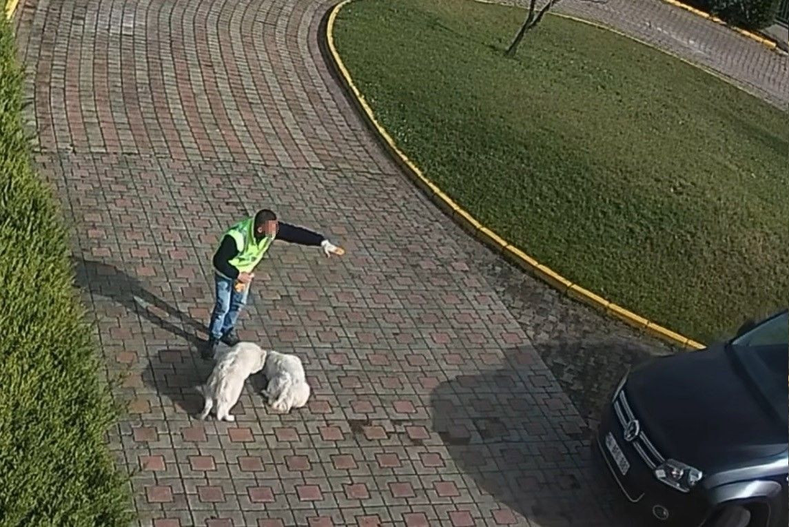 Vali Konağı'ndaki 'Köpek Ölümü' Olayının Görüntüleri Ortaya Çıktı - Sayfa 4