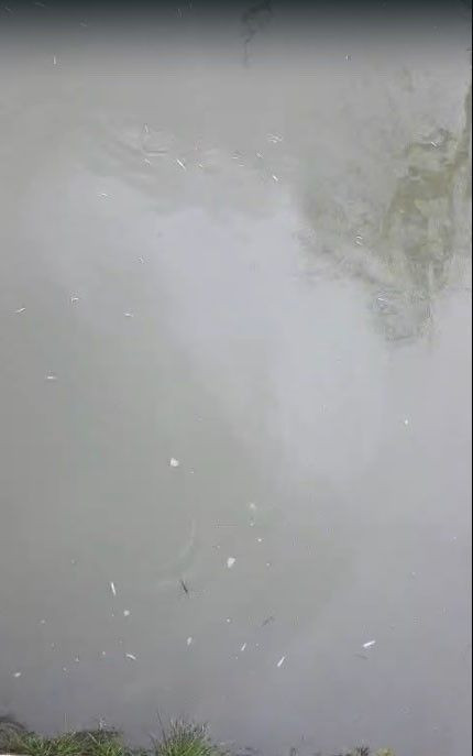 Uludere Çayı’nda Balık Ölümleri: Numune Alındı, İnceleme Başlatıldı - Sayfa 3