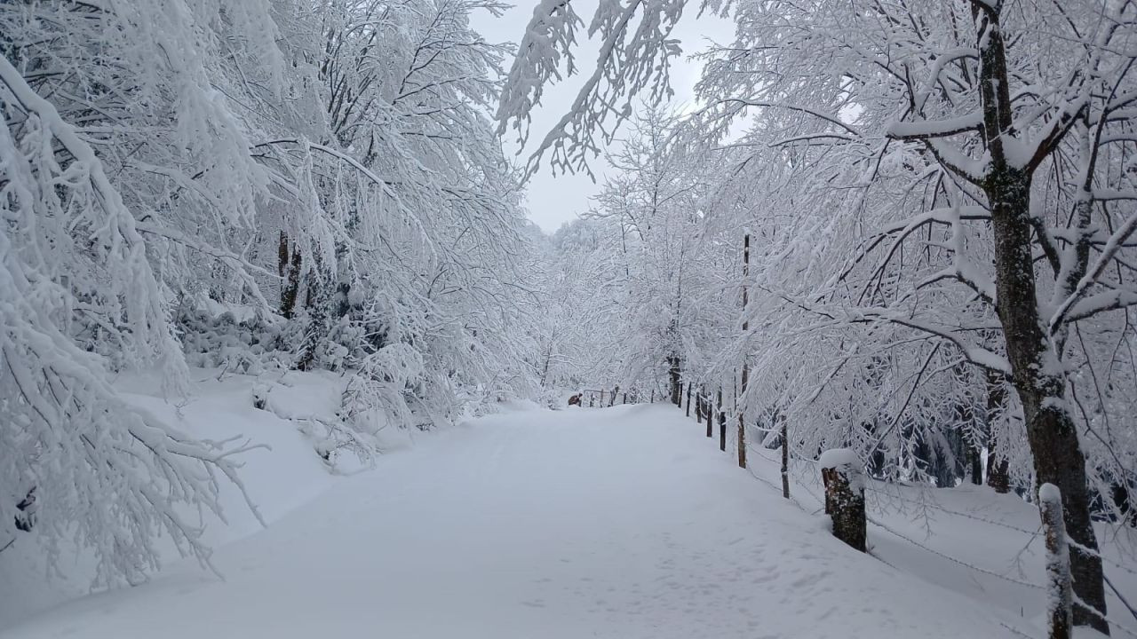 Sakarya’da İki Mevsim Bir Arada: Zirveler Beyaz, Merkez Güneşli - Sayfa 4