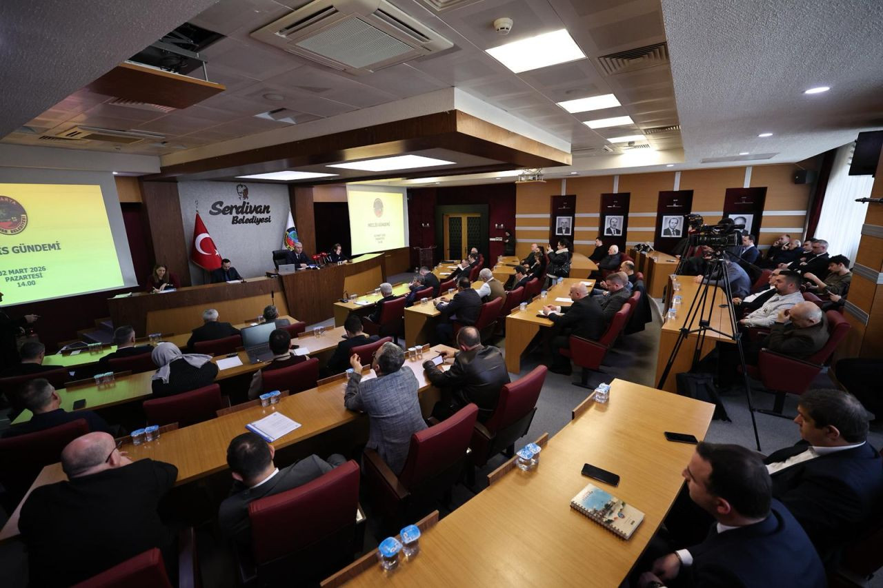 Serdivan Belediye Meclisi Mart Ayı İçin Toplantısı - Sayfa 2