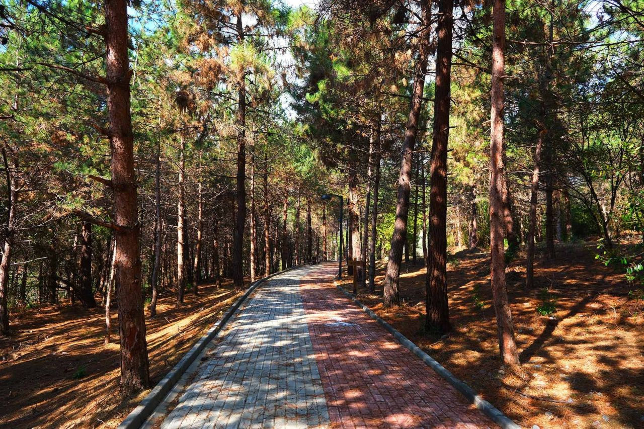 Sakaryalılar Baharı ‘Huzur Koridoru’nda Koşarak Karşılayacak - Sayfa 1