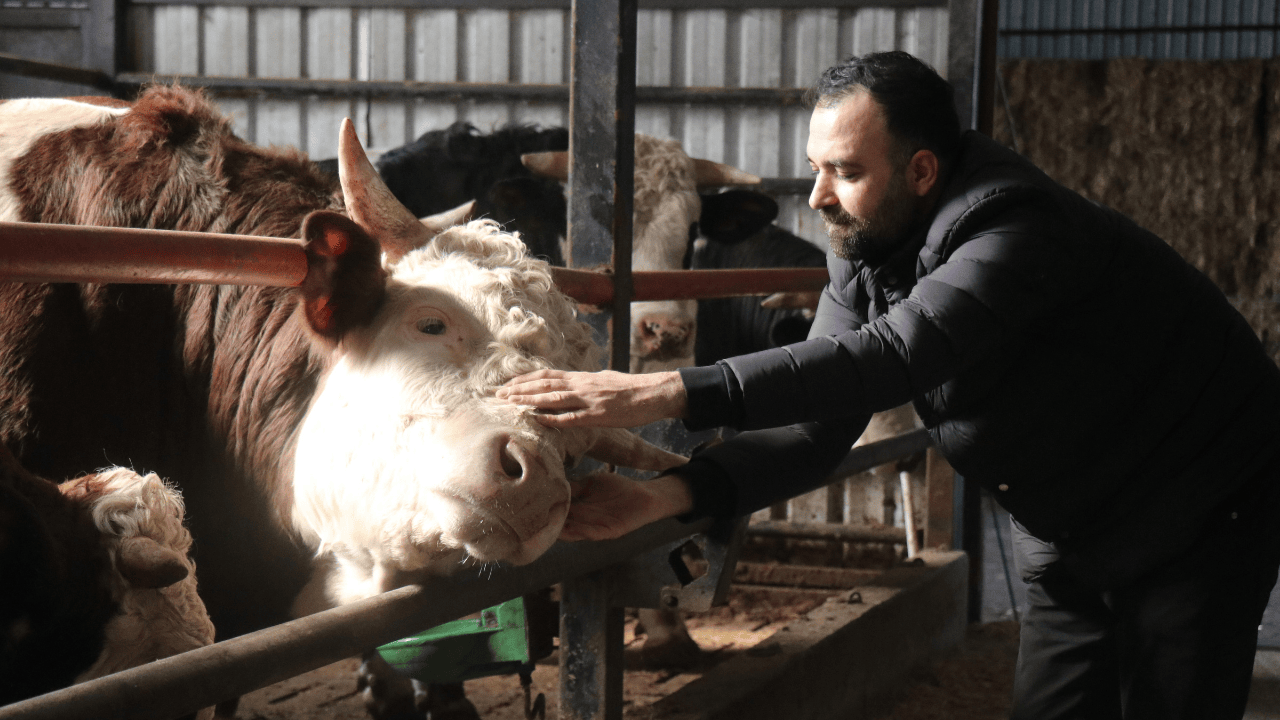 Kurbanlıkta Erken Alım Hareketliliği: Vatandaş Avantaj Peşinde - Sayfa 4