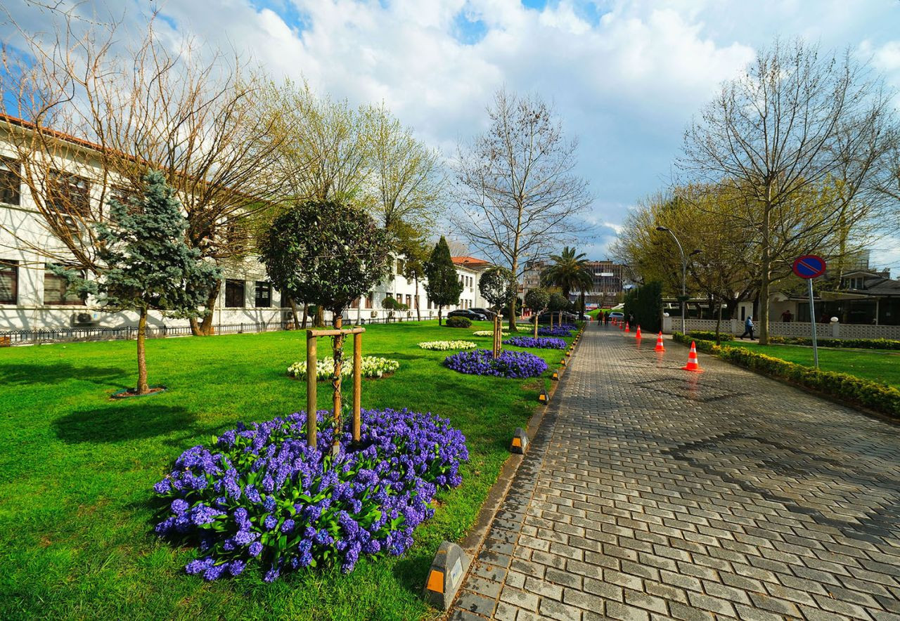 Sakarya’da Baharın Büyüleyici Cümbüşü - Sayfa 1