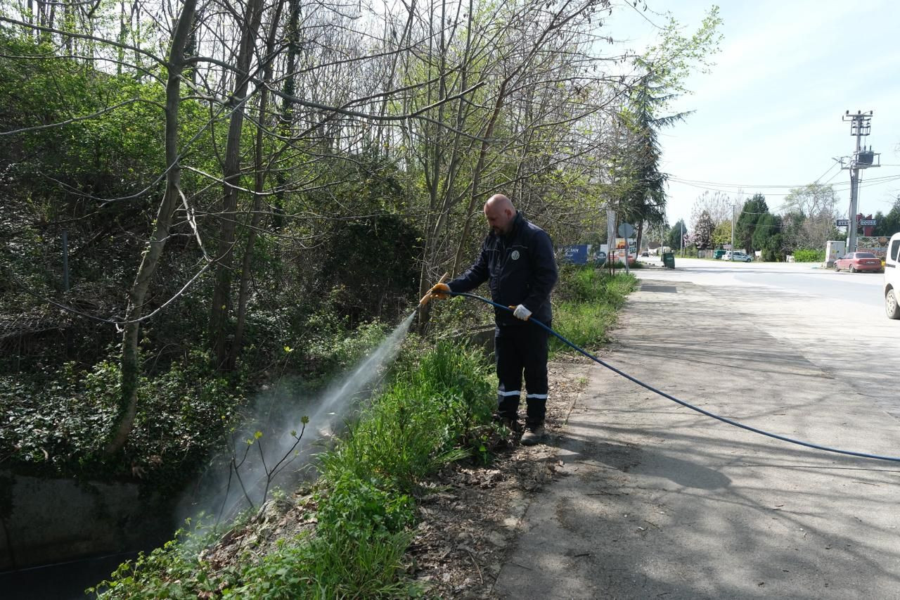 Larva ile Mücadele Çalışmaları - Sayfa 1