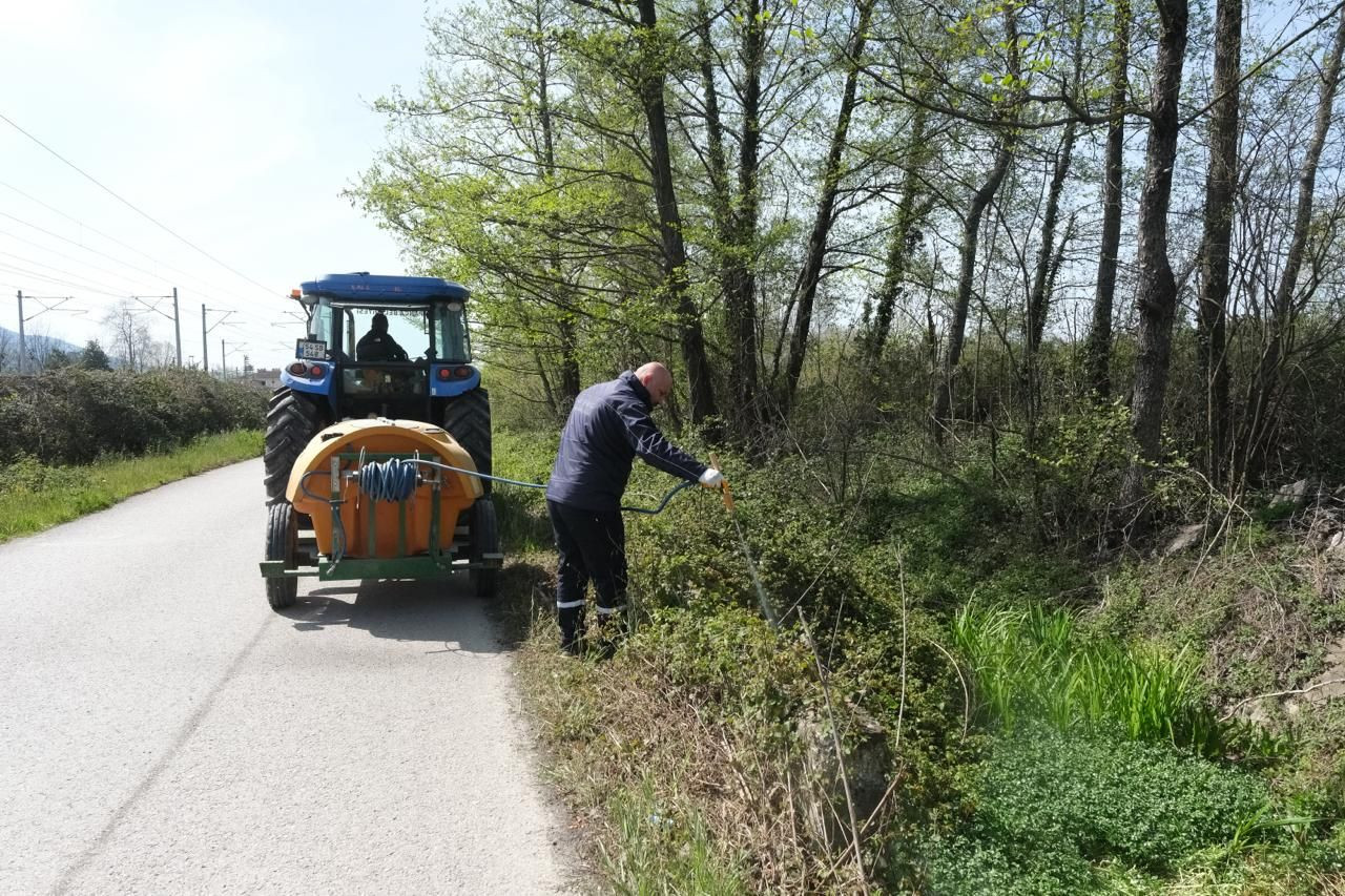 Larva ile Mücadele Çalışmaları - Sayfa 2