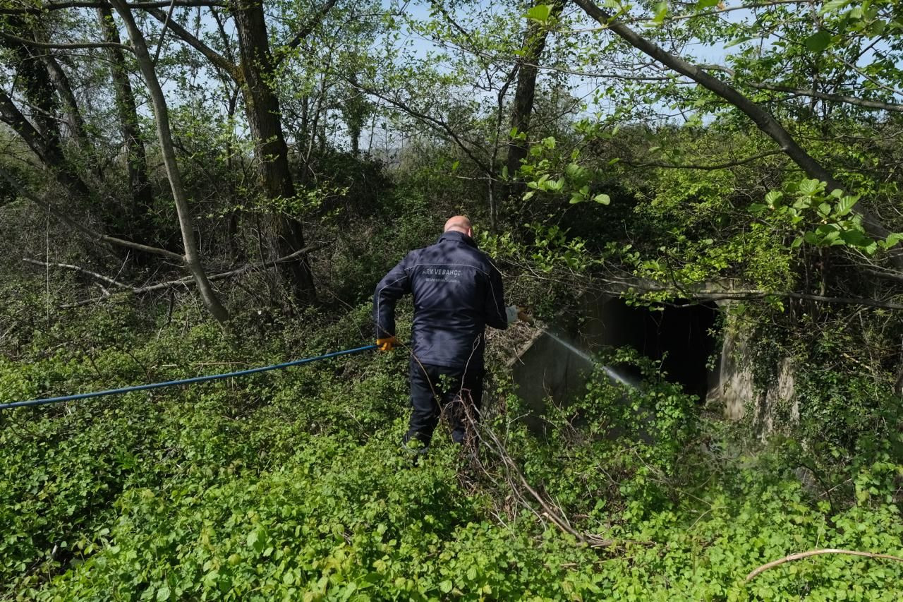 Larva ile Mücadele Çalışmaları - Sayfa 3