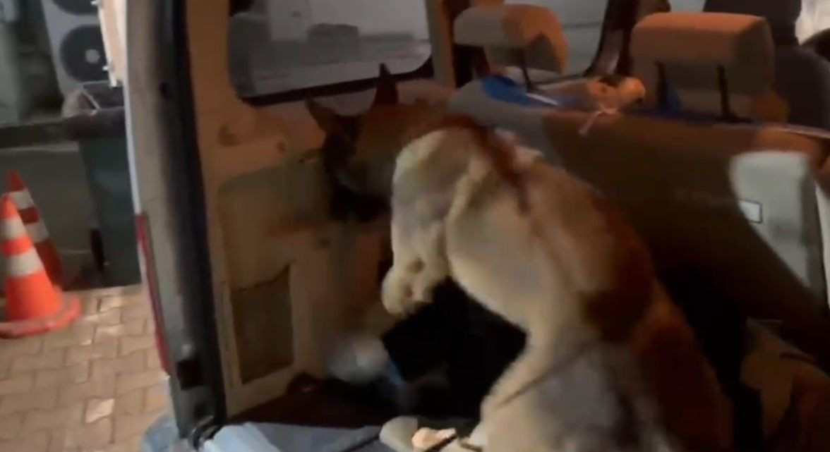 Kuzey Marmara Otoyolu'nda Nefes Kesen Takip! - Sayfa 3