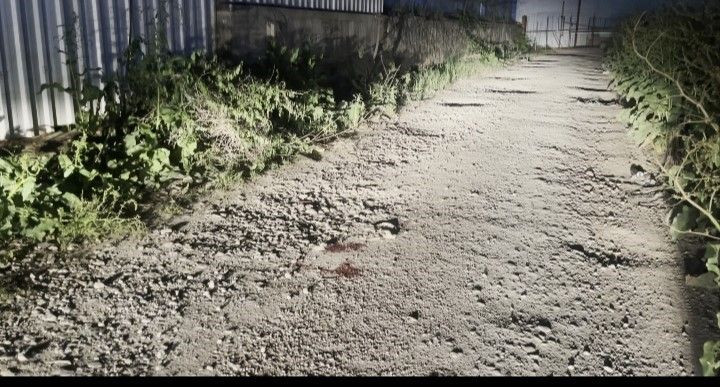 Genç Avukat Ablası İçin Açtığı Davayı Geri Çekmedi, Hayatını Kaybetti - Sayfa 2