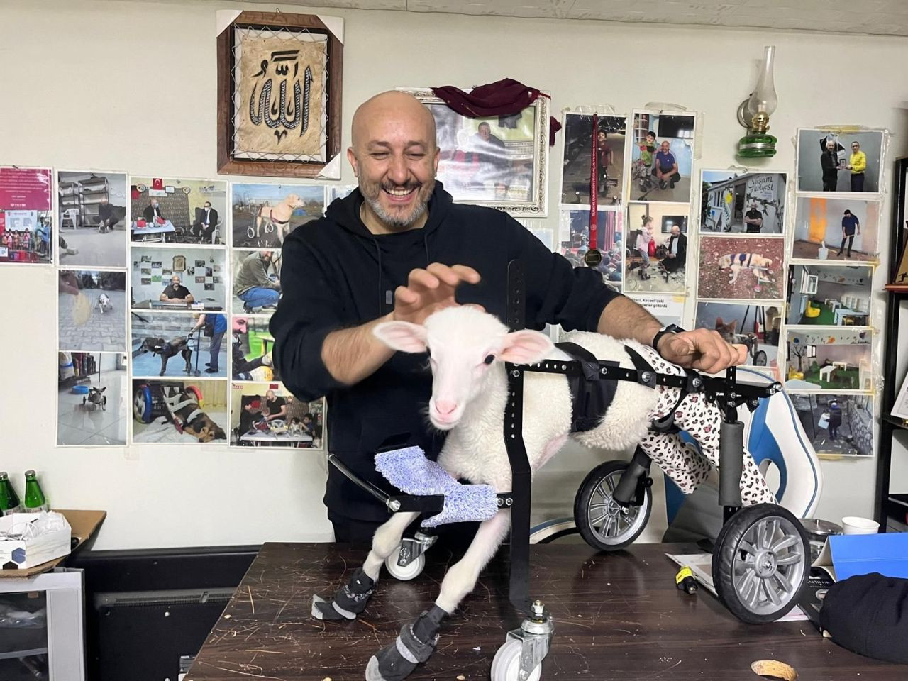 Demir Ustası Hayvanlara ‘Umut’ Oluyor: 9 Yılda Bin Canı Ayağa Kaldırdı - Sayfa 1