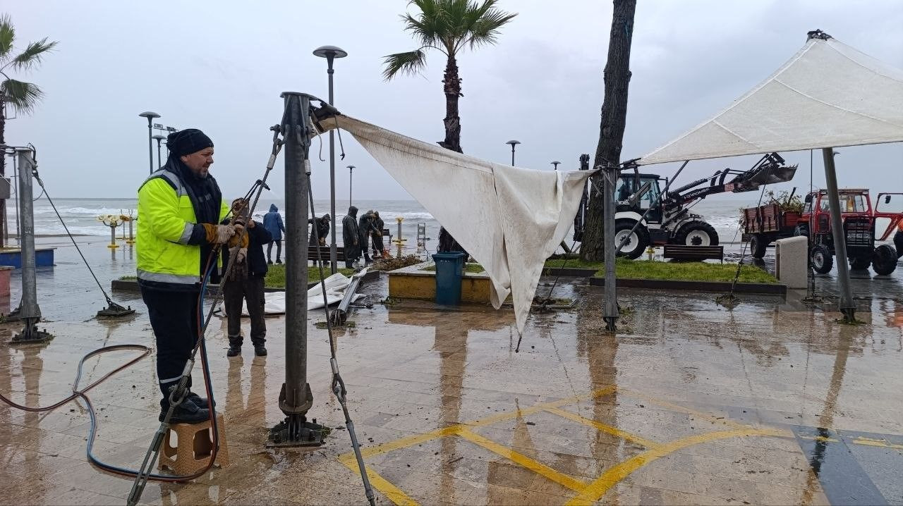 Şiddetli Rüzgar 25 Metrelik Kavak Ağacını Devirdi - Sayfa 3