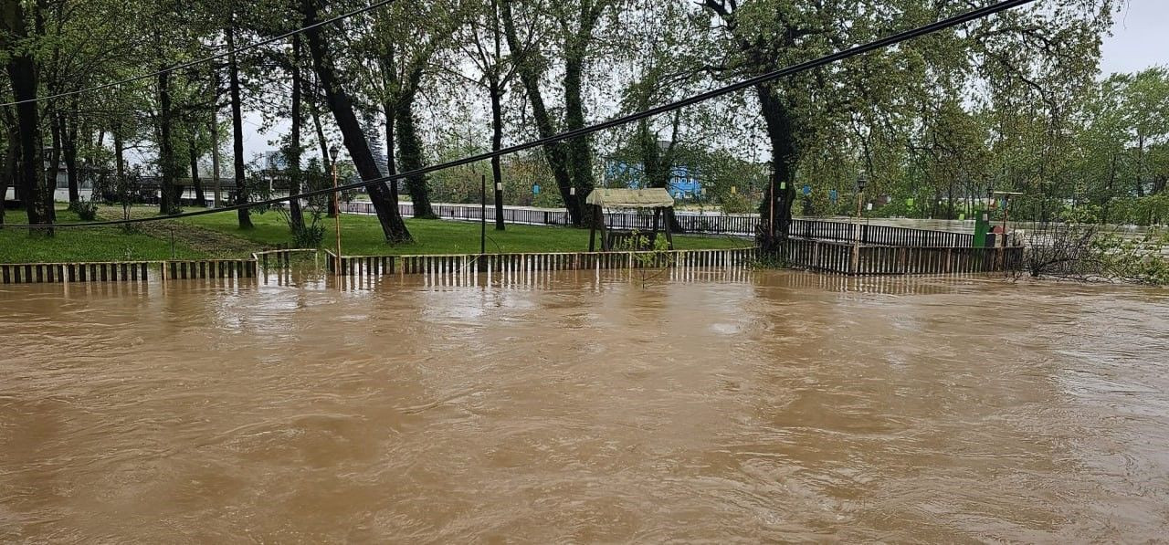 Sakarya’da Alarm: Nehirdeki Ağaç Yığınları Köprüyü Tehdit Etti - Sayfa 1