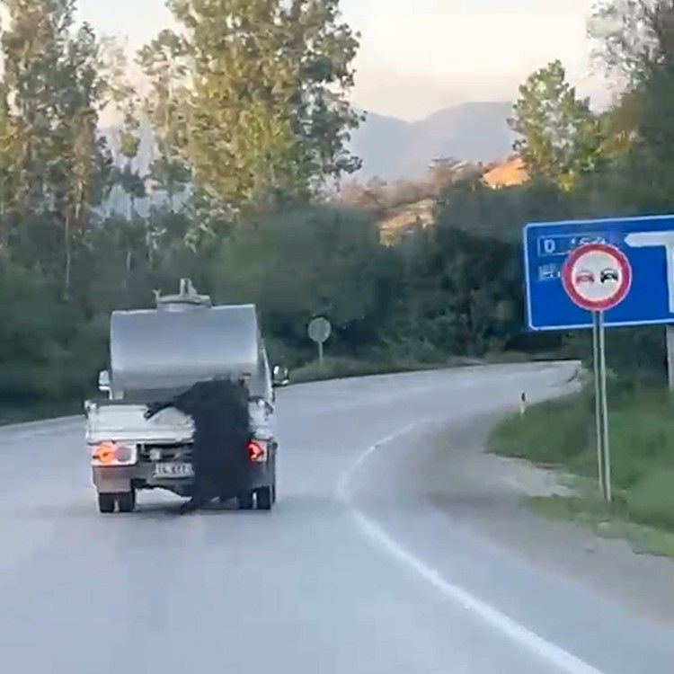 Kurbanlığı Araçtan Sarkıtıp Kilometrelerce Sürükledi - Sayfa 2