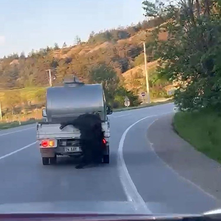 Kurbanlığı Araçtan Sarkıtıp Kilometrelerce Sürükledi - Sayfa 3