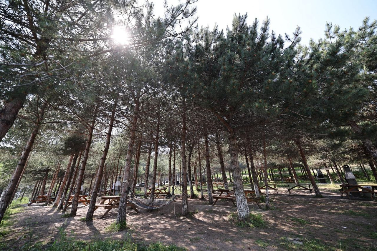Serdivan Gölpark 1. Etap Belediye Bünyesine Geri Alındı - Sayfa 4